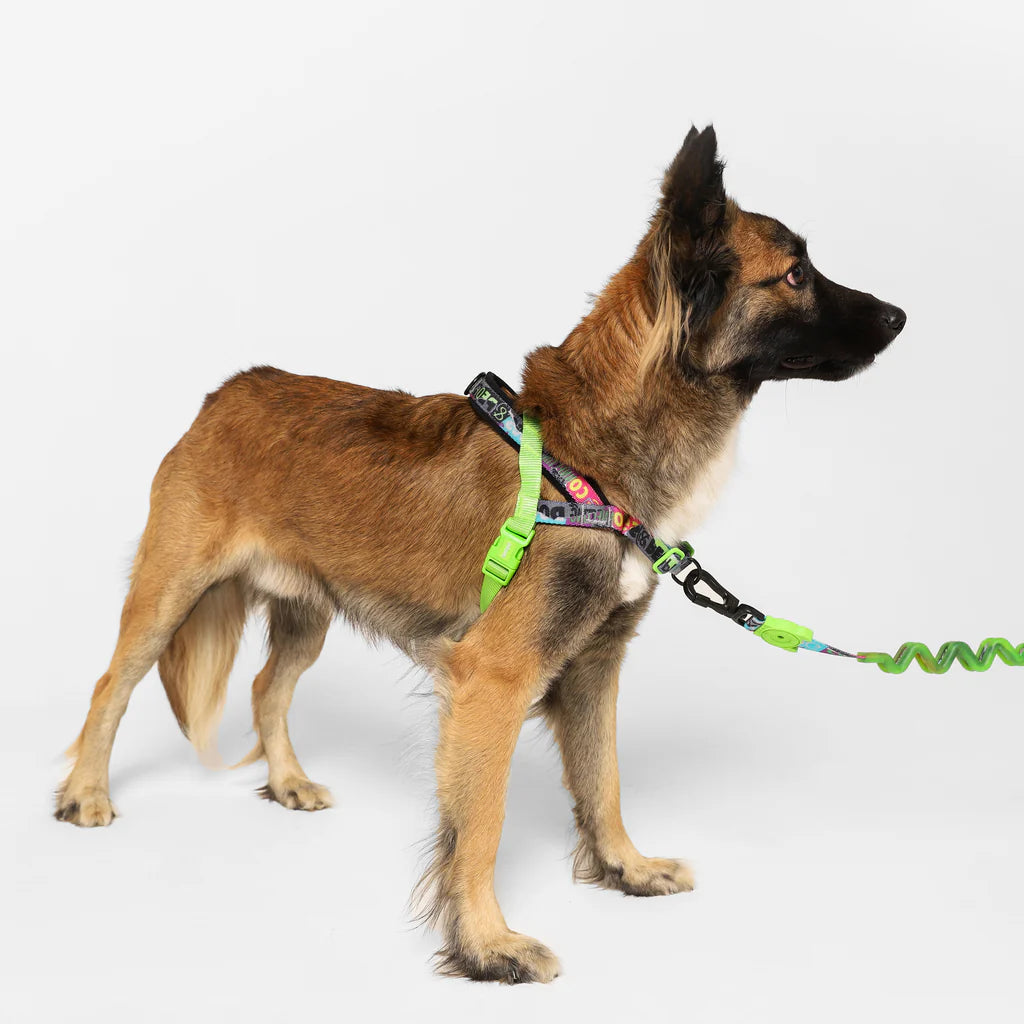 Lords of Zee.Town Manifesto Softer Walk Harness
