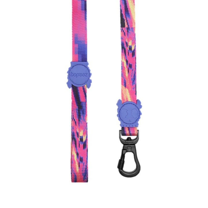 Error #500 | Leash