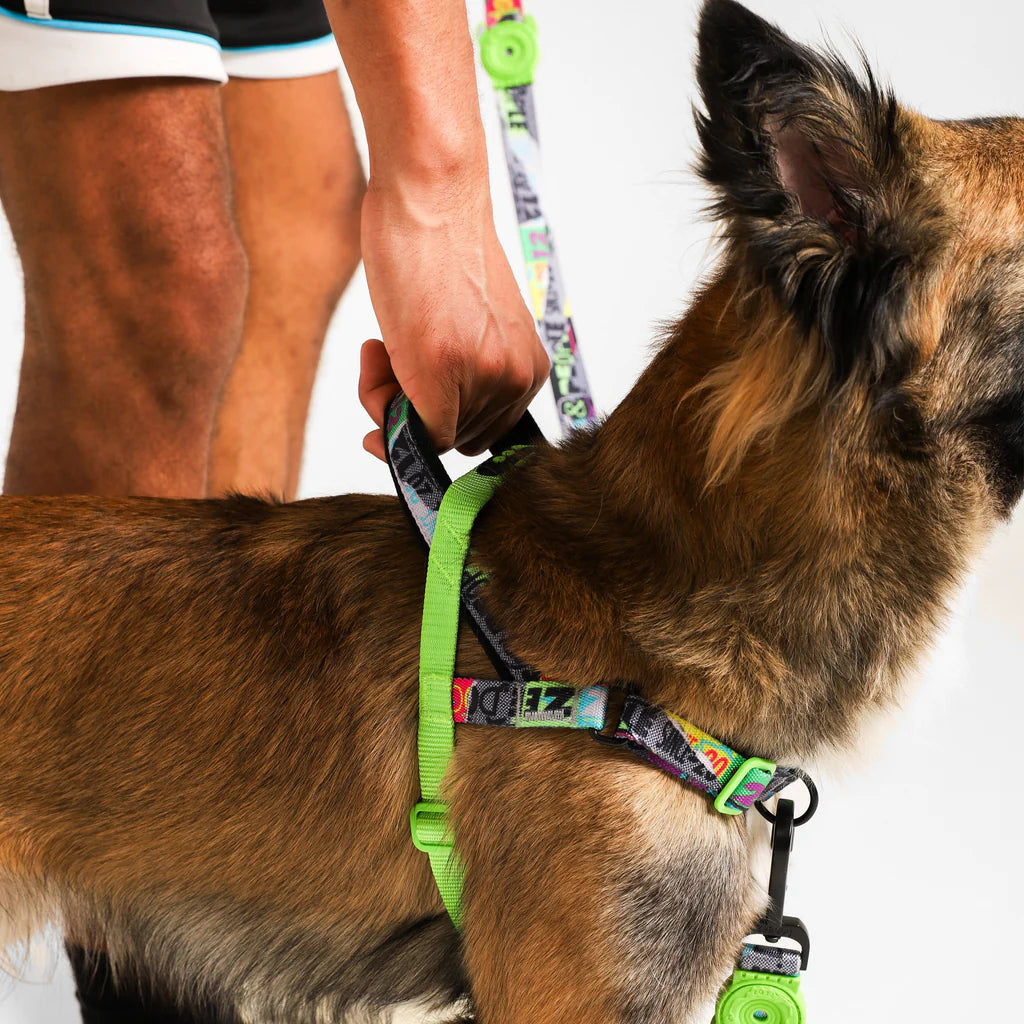 Lords of Zee.Town Manifesto Softer Walk Harness