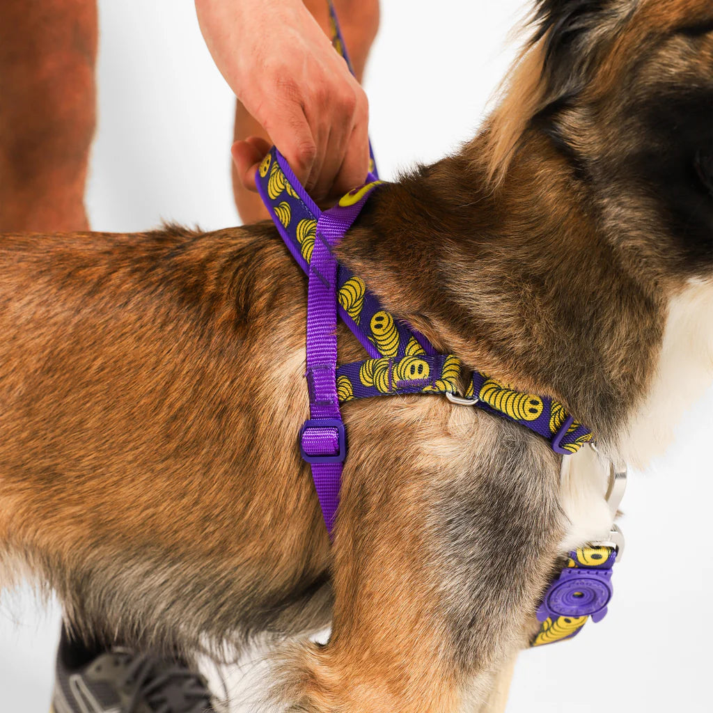 Lords of Zee.Town Zmiley Softer Walk Harness