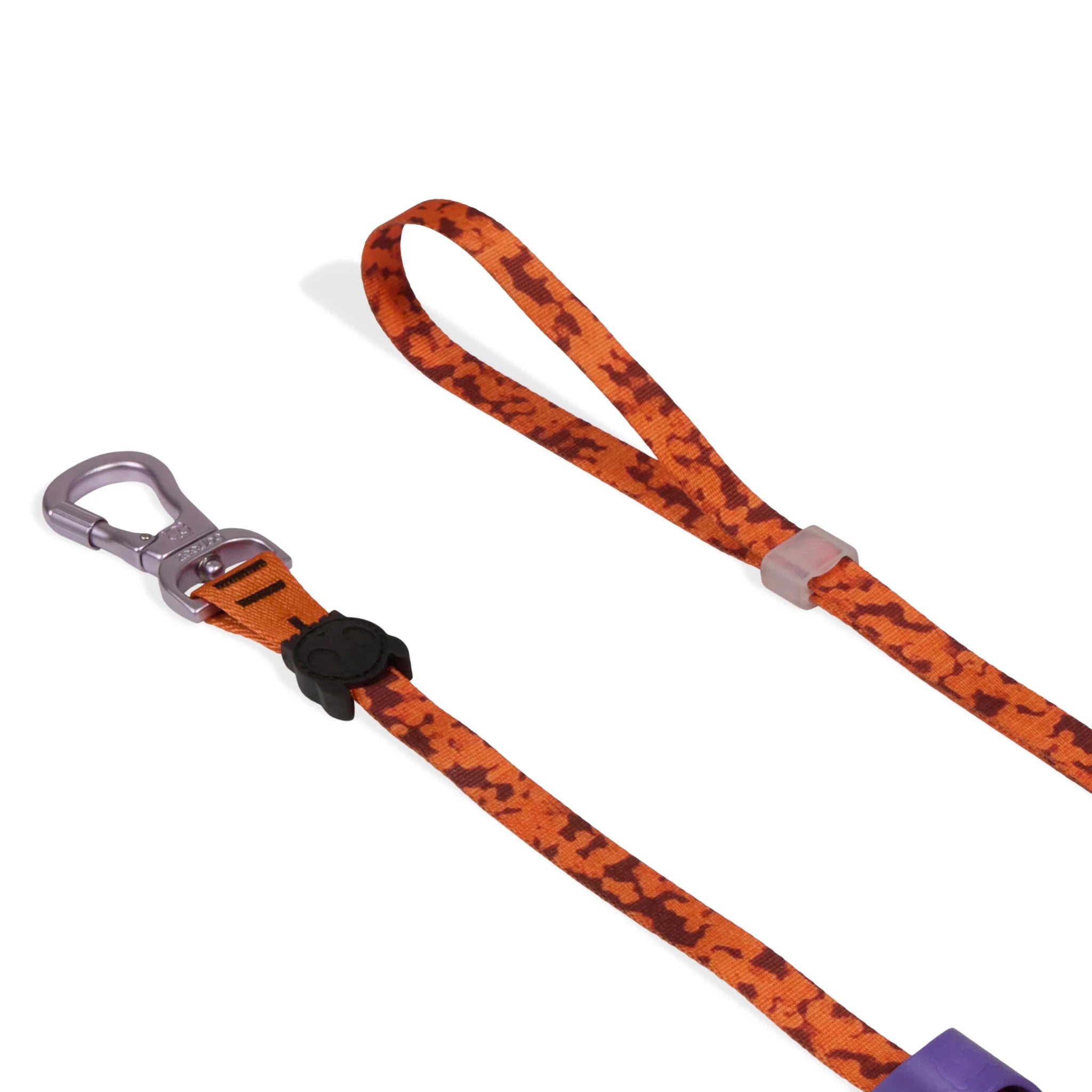 Long Leash Leopard