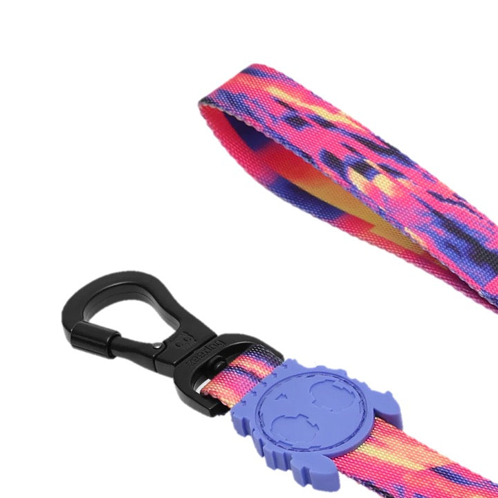 Error #500 | Leash