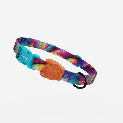 H3D Bounce Dog Collar