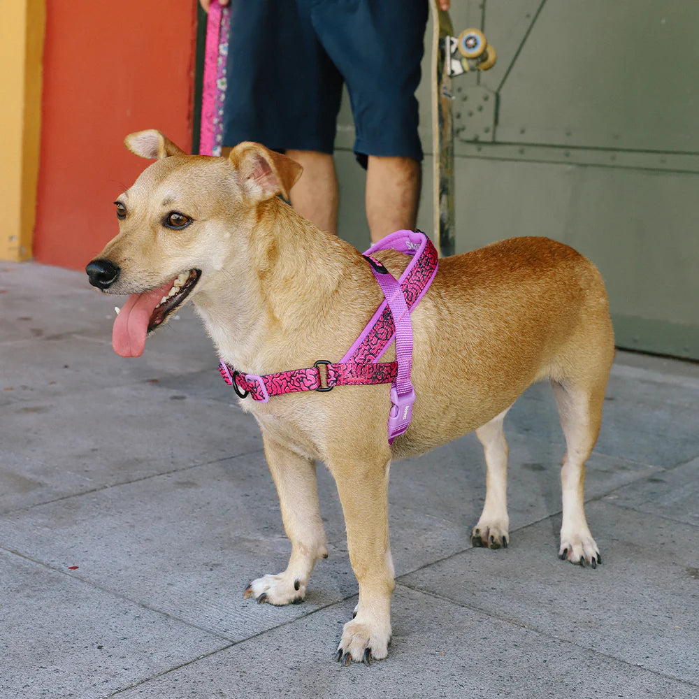Lords of Zee.Town Brain Softer Walk Harness