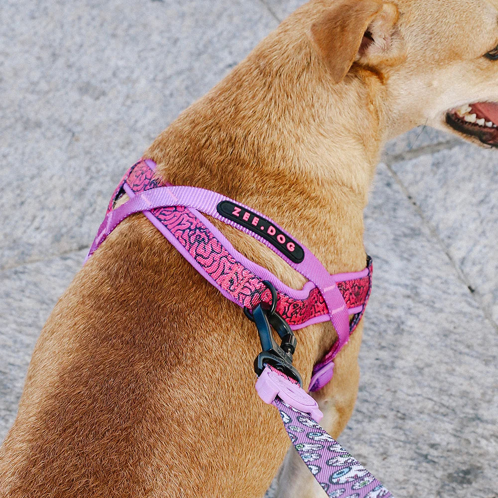 Lords of Zee.Town Brain Softer Walk Harness