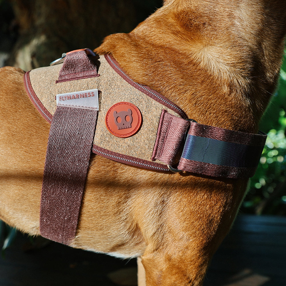 Cocoa Naturals Fly Harness