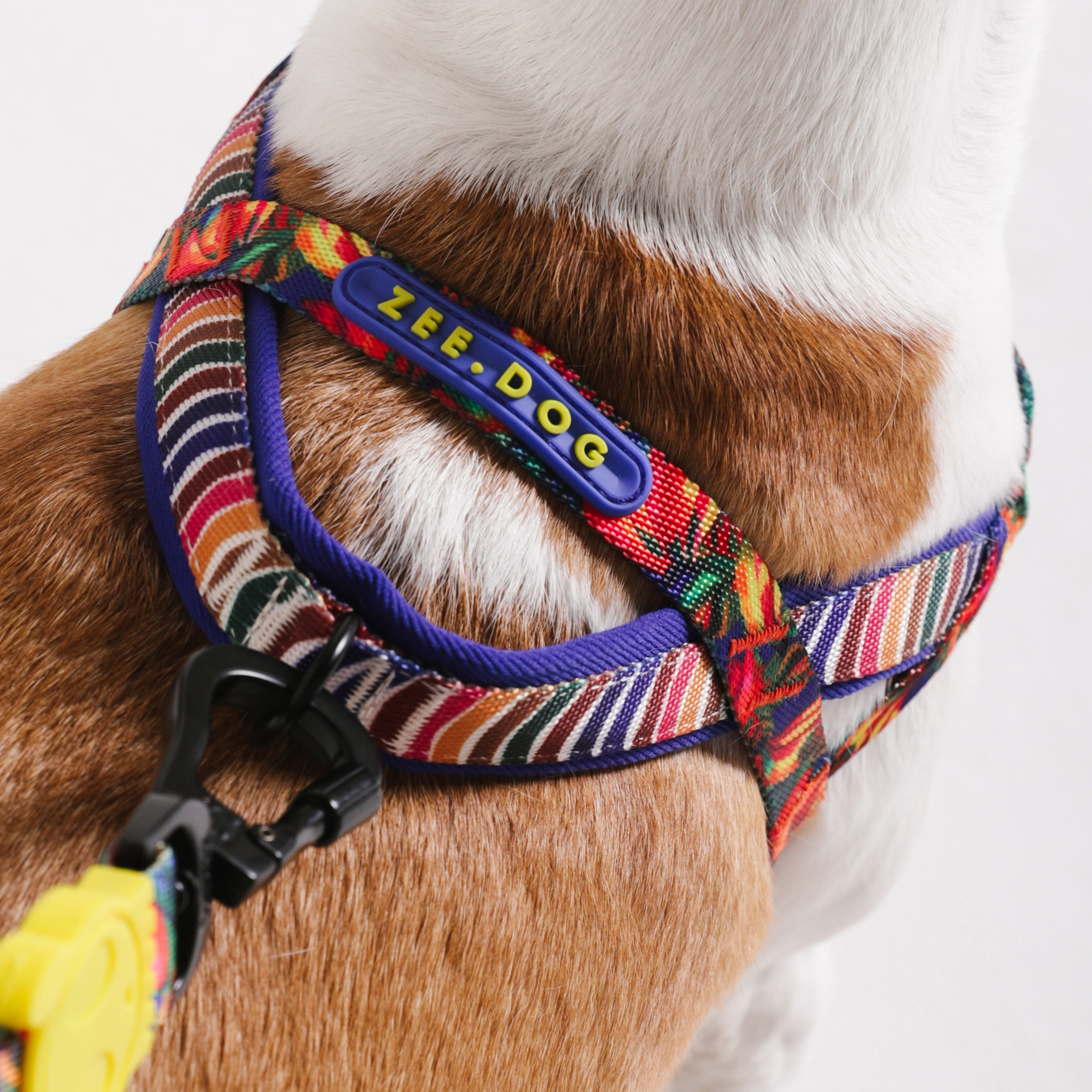 Samba Softer Walk Harness