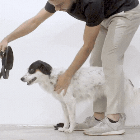 Cocoa Naturals Fly Harness
