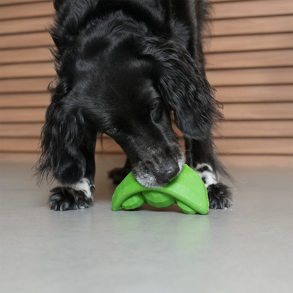 Super Veggiez Green Peas