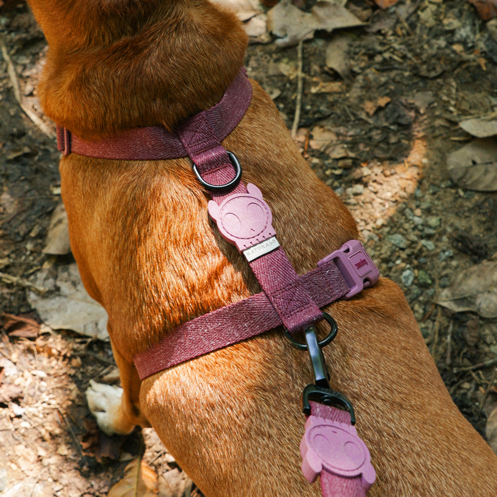 Hibiscus Naturals Leash