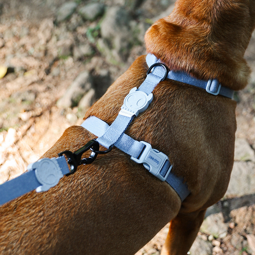 Marine Naturals Leash