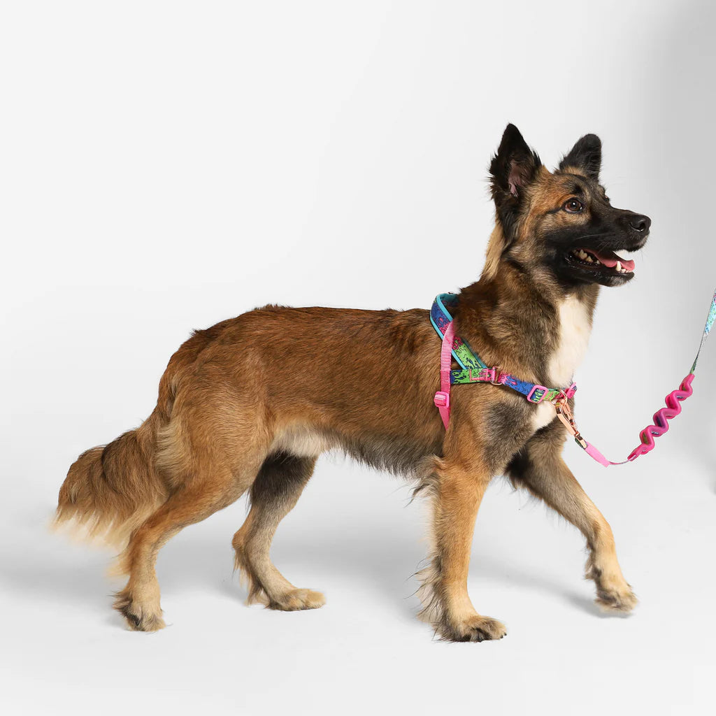Lords of Zee.Town Melted Softer Walk Harness