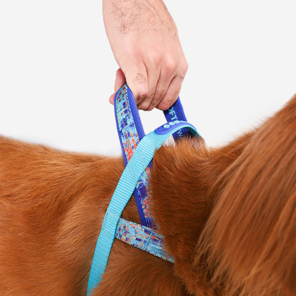 Error #404 | Softer Walk Harness