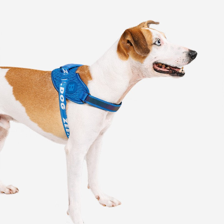 Slam Dunk | Fly Harness