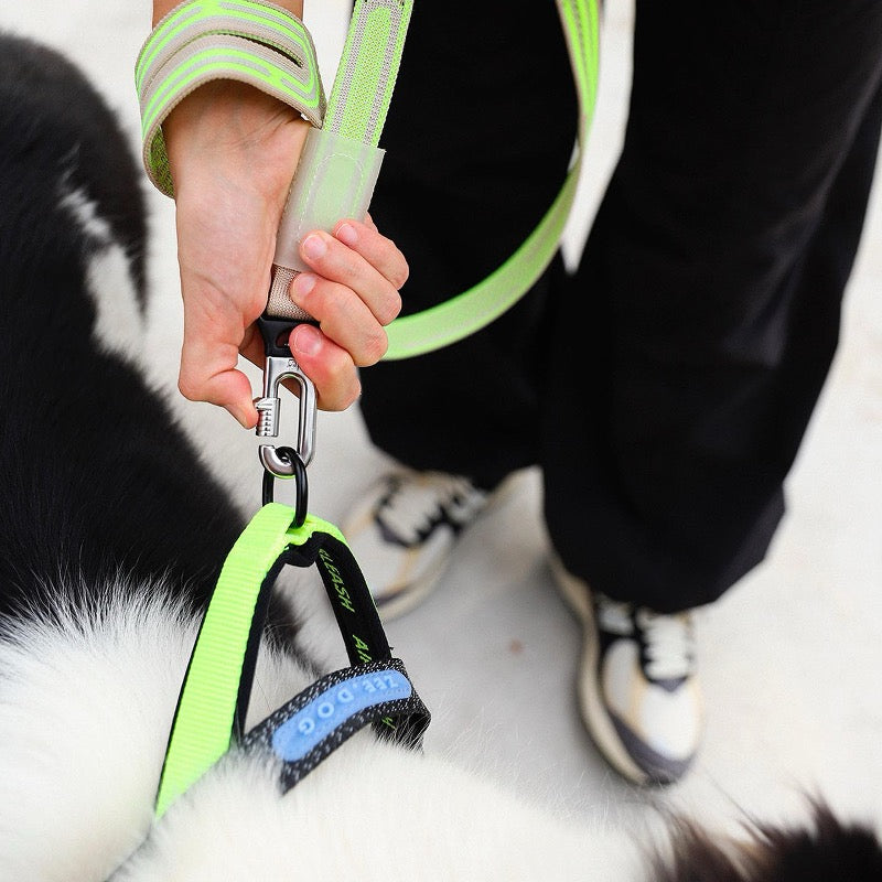 Gluten | Nit Leash