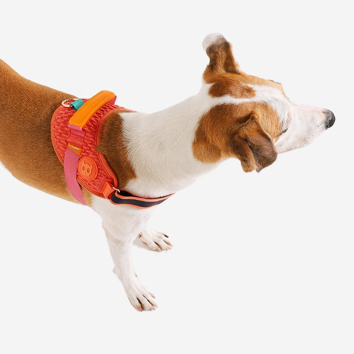 Gazelle | Fly Harness