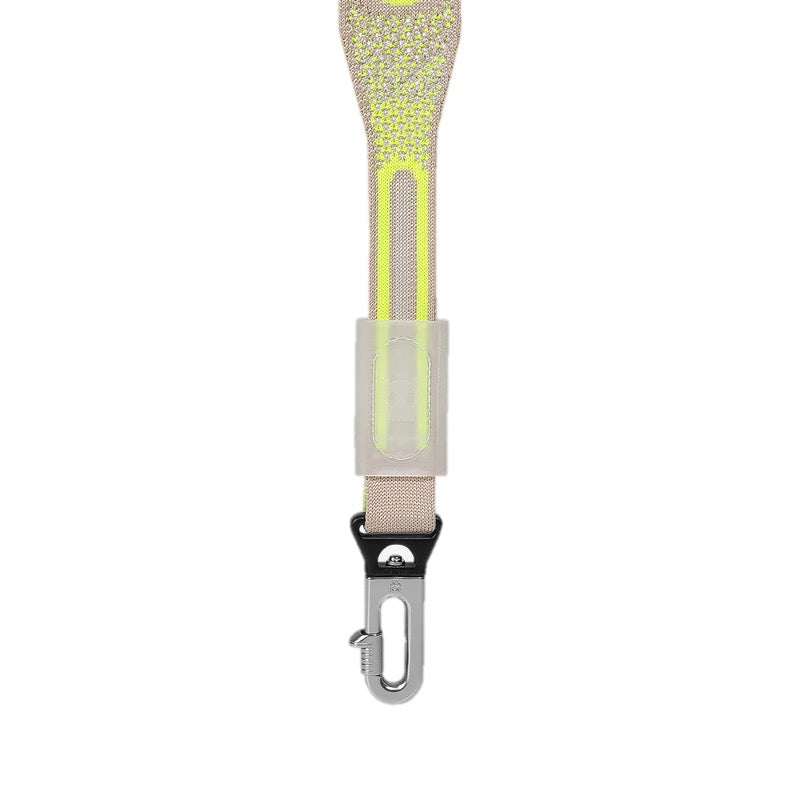 Gluten | Nit Leash