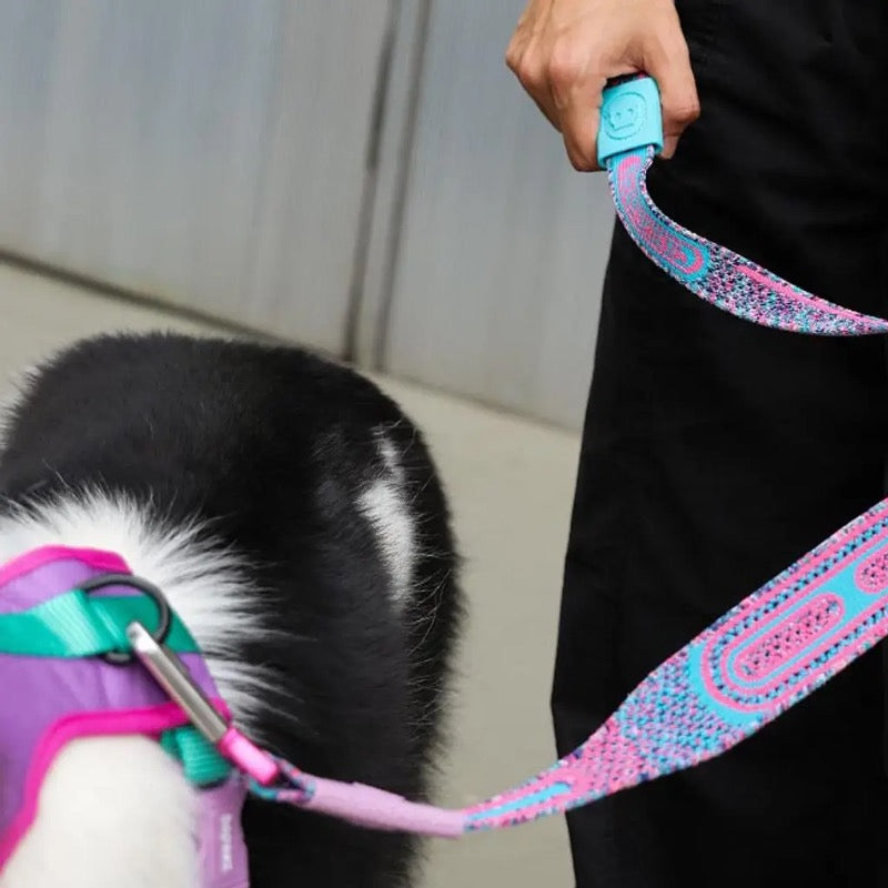 Candy | Nit Leash