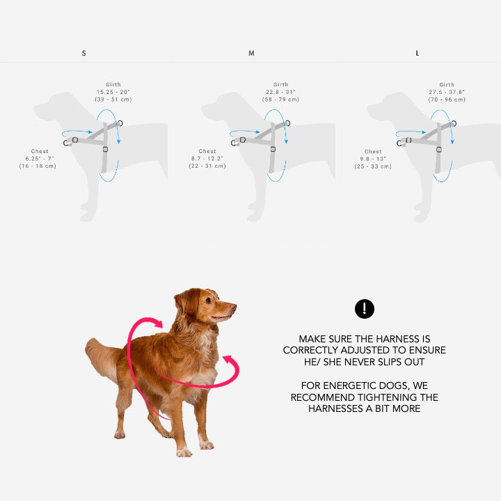 Dune Softer Walk Harness