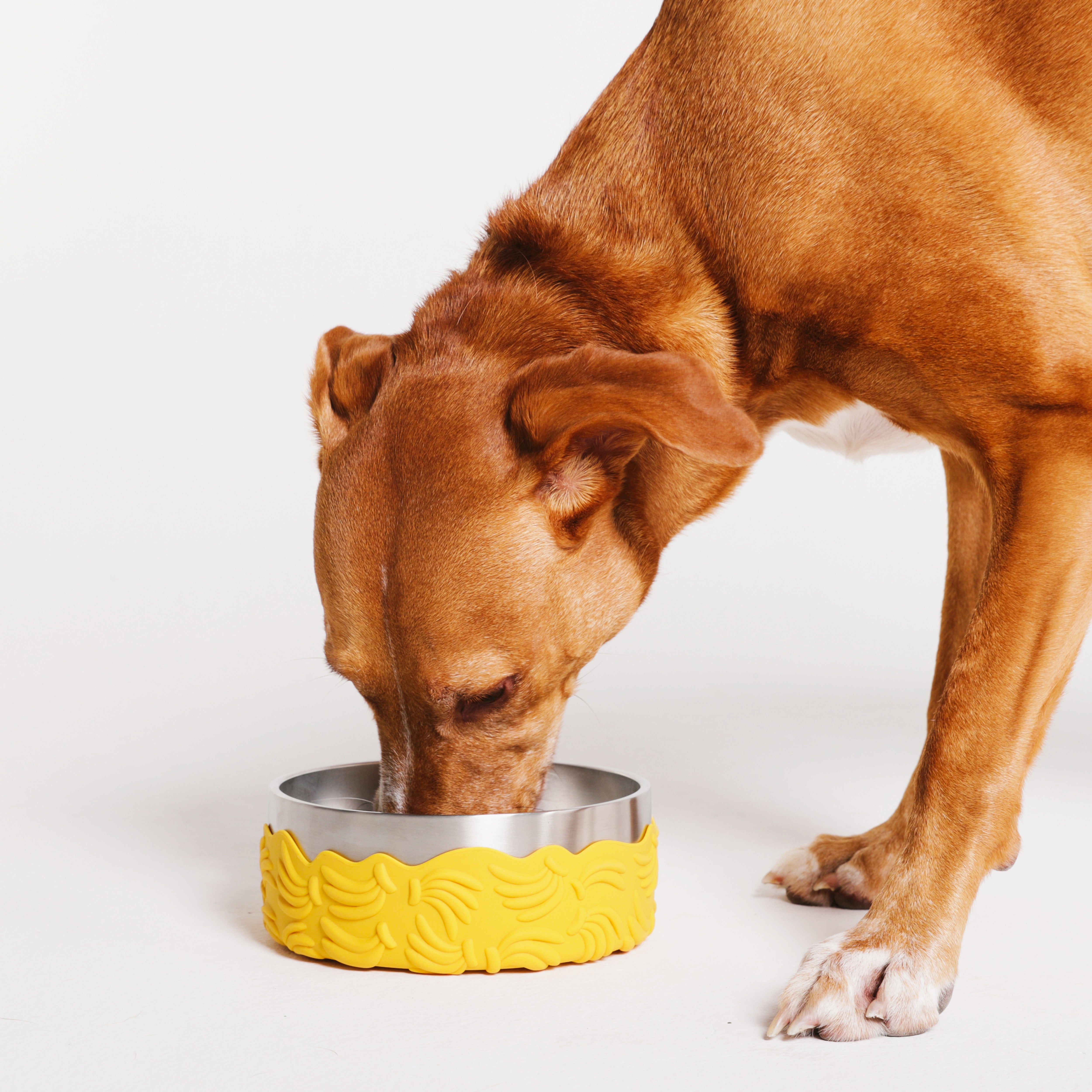 Bossa Banana Tuff Bowl