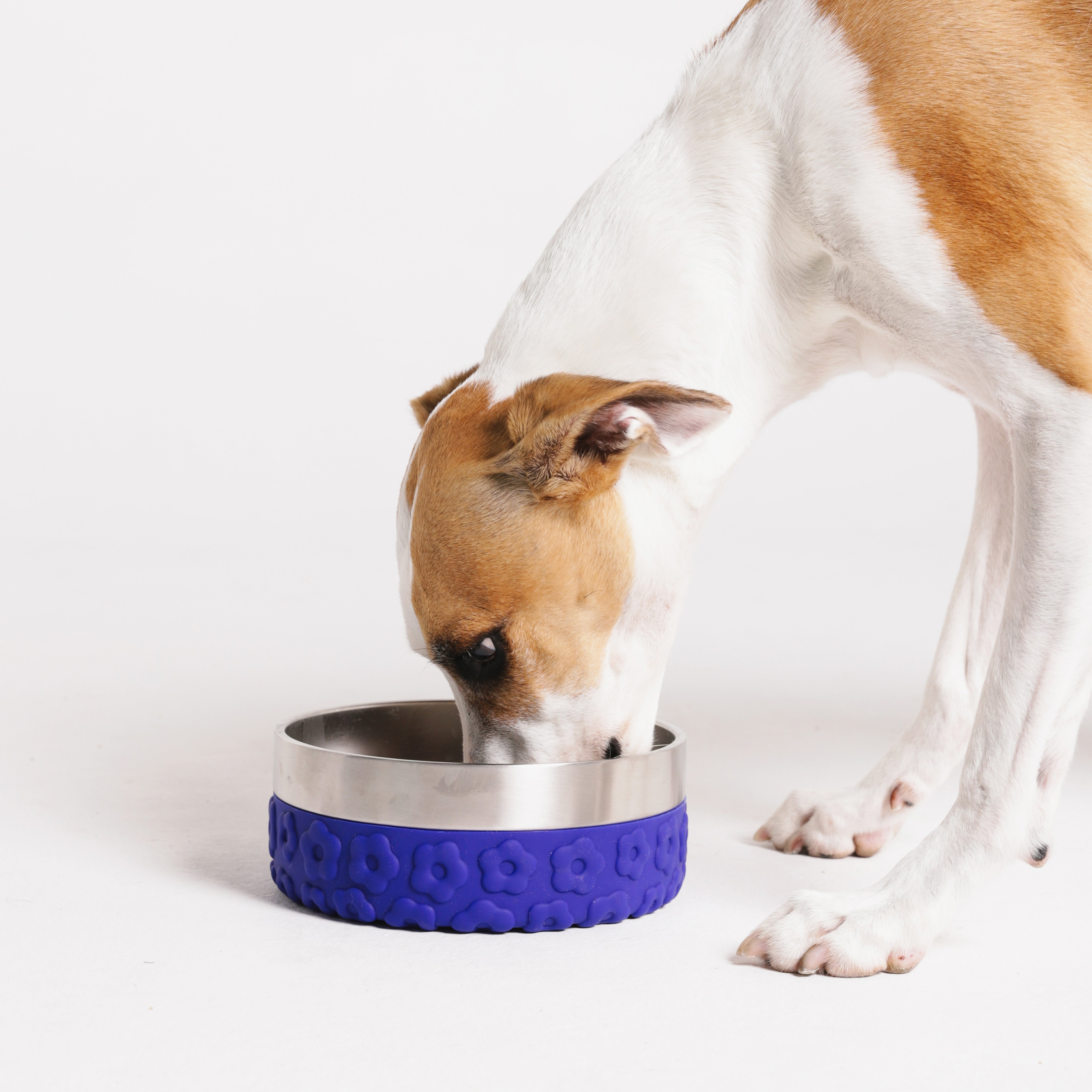 Samba Tuff Bowl