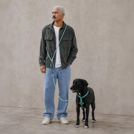Vert Hands - Free Leash