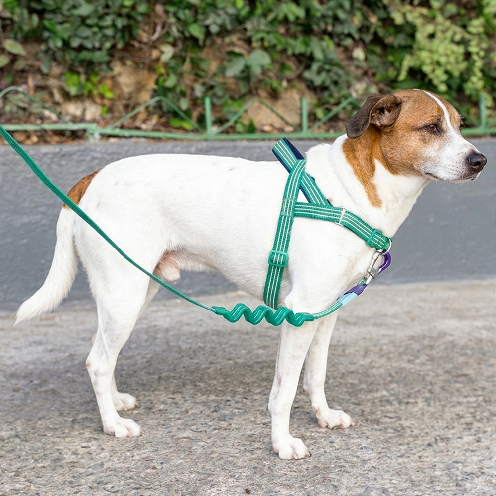 Vert Velvet Vibes Softer Walk Harness