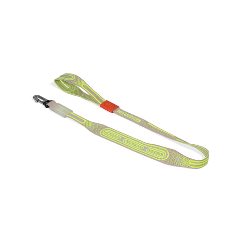 Gluten | Nit Leash