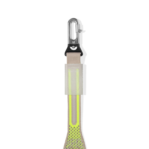 Gluten | Nit Leash