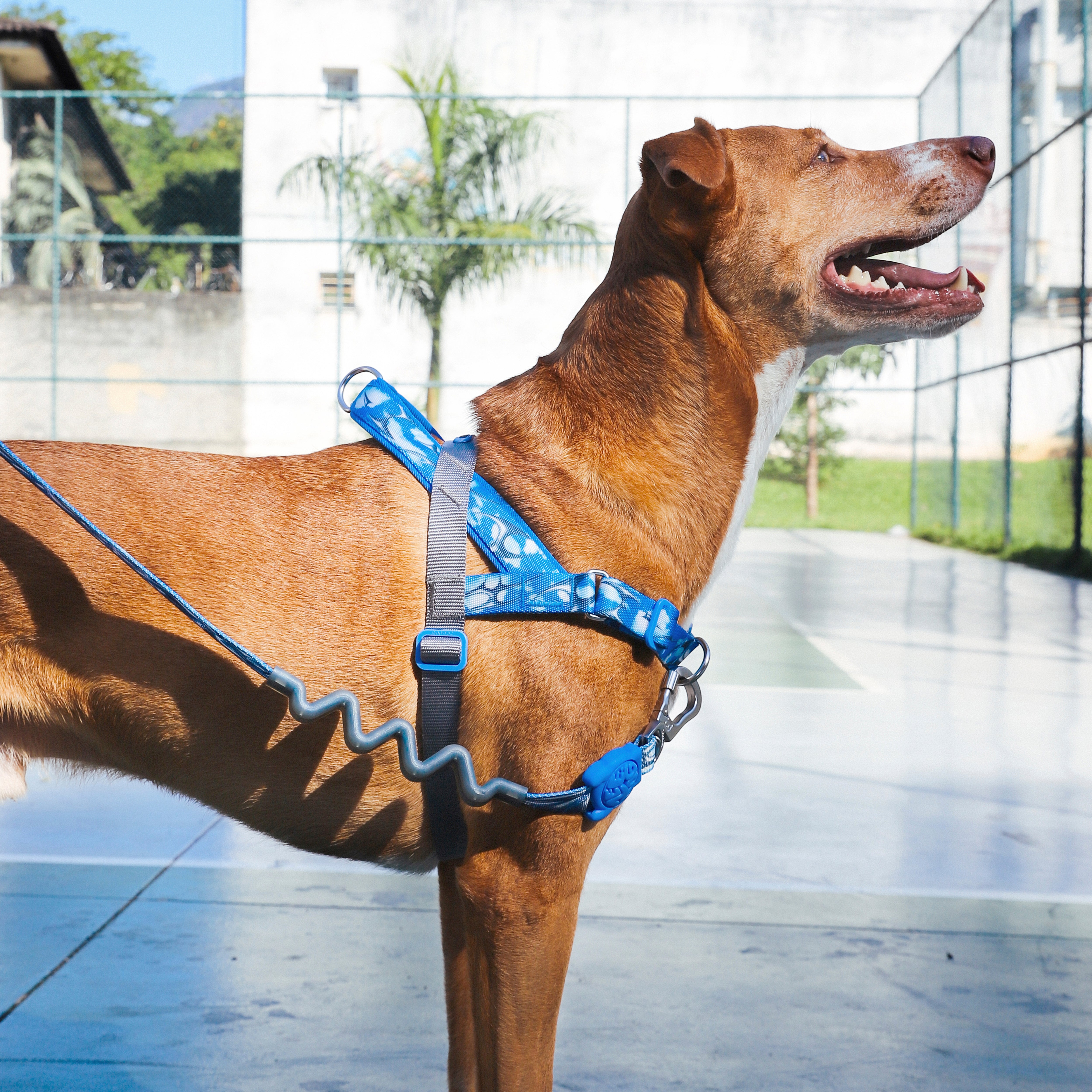 H3D Fly Softer Walk Harness