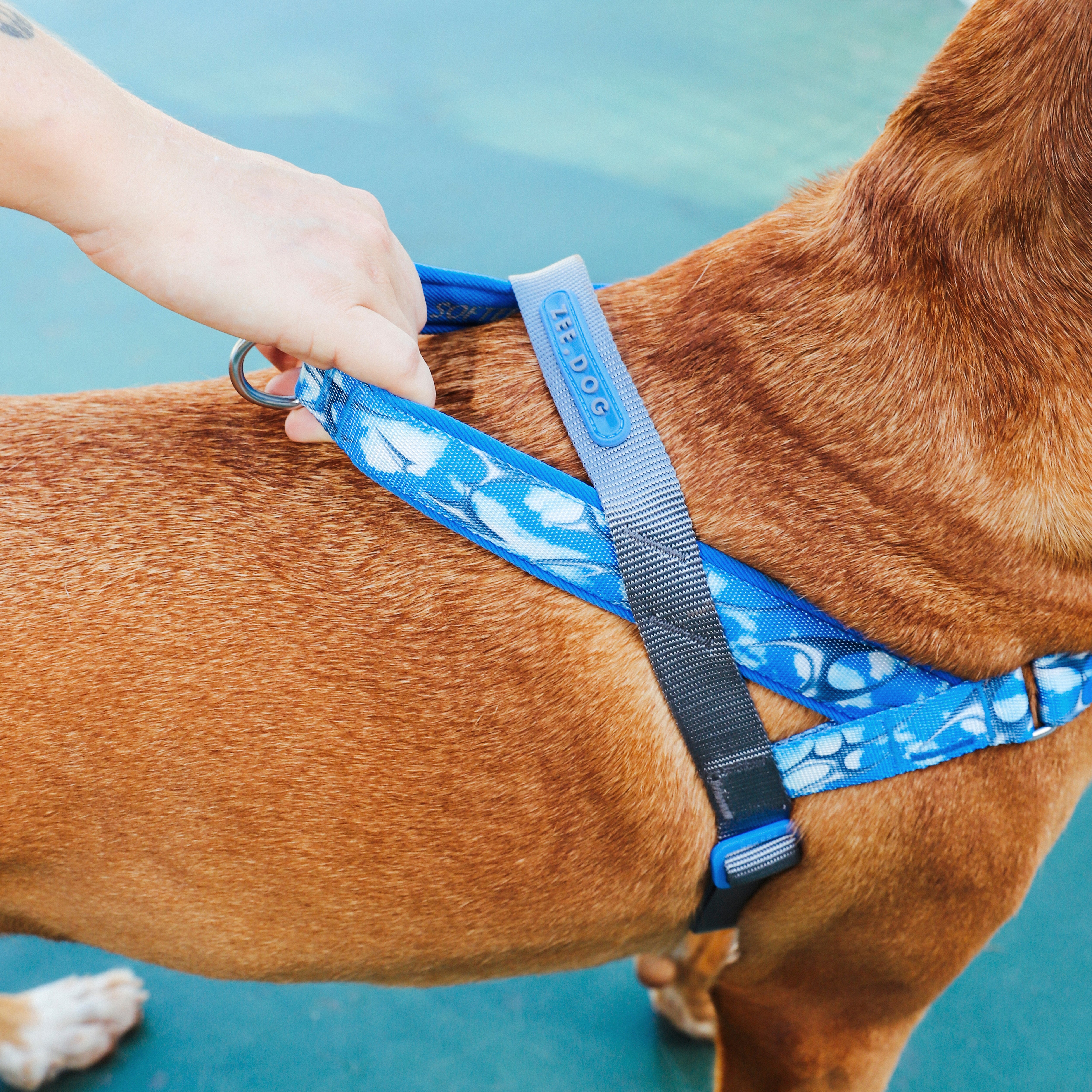 H3D Fly Softer Walk Harness