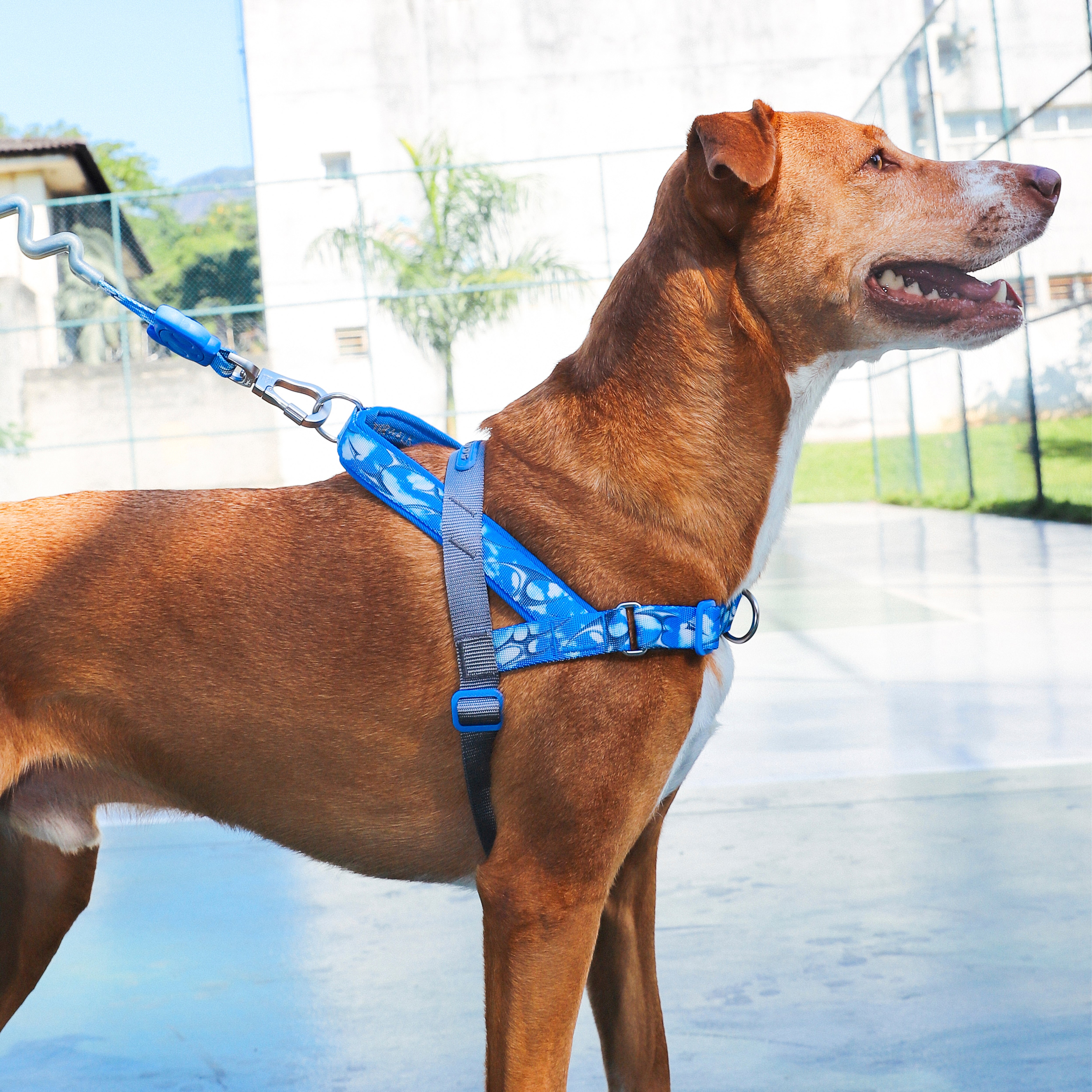 H3D Fly Softer Walk Harness