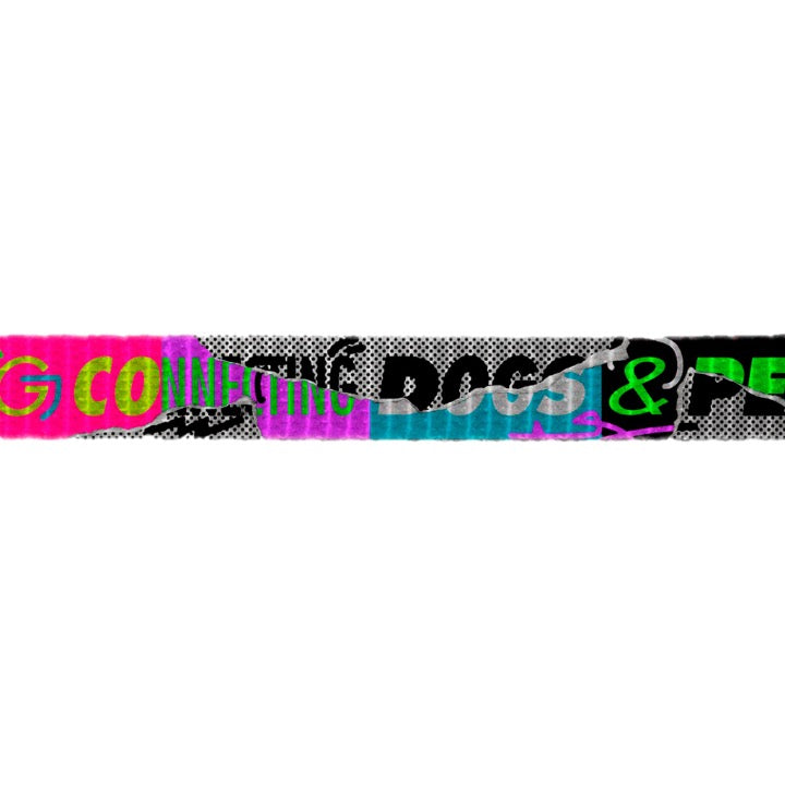 Lords of Zee.Town Manifesto | Cat Harness with Leash