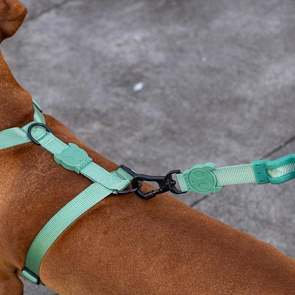 Army Green | H - Harness