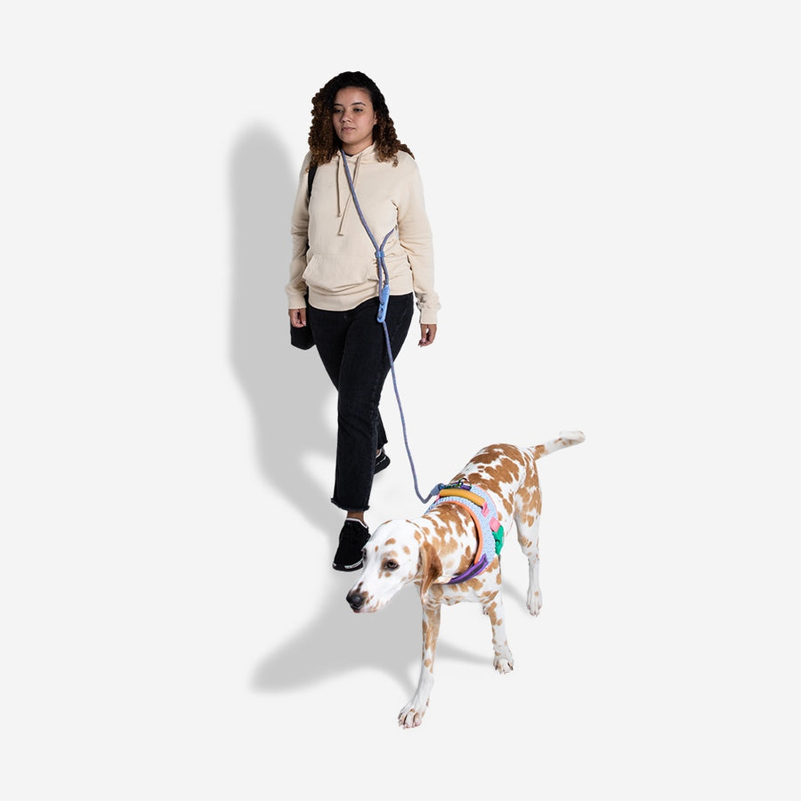 Andromeda Hands - Free Leash
