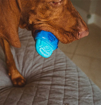 Brain Freeze