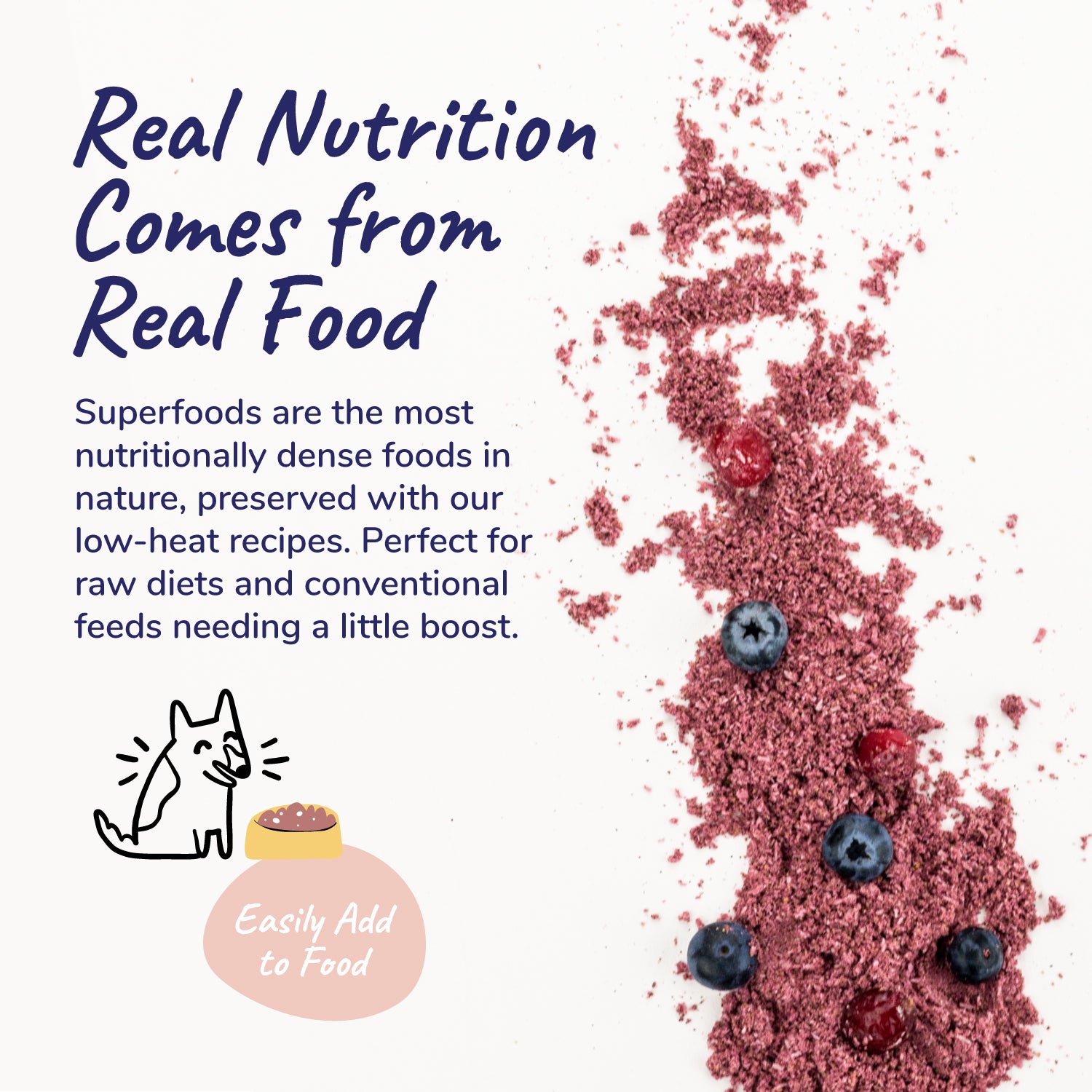 Organic Healthy Immunity Supplement