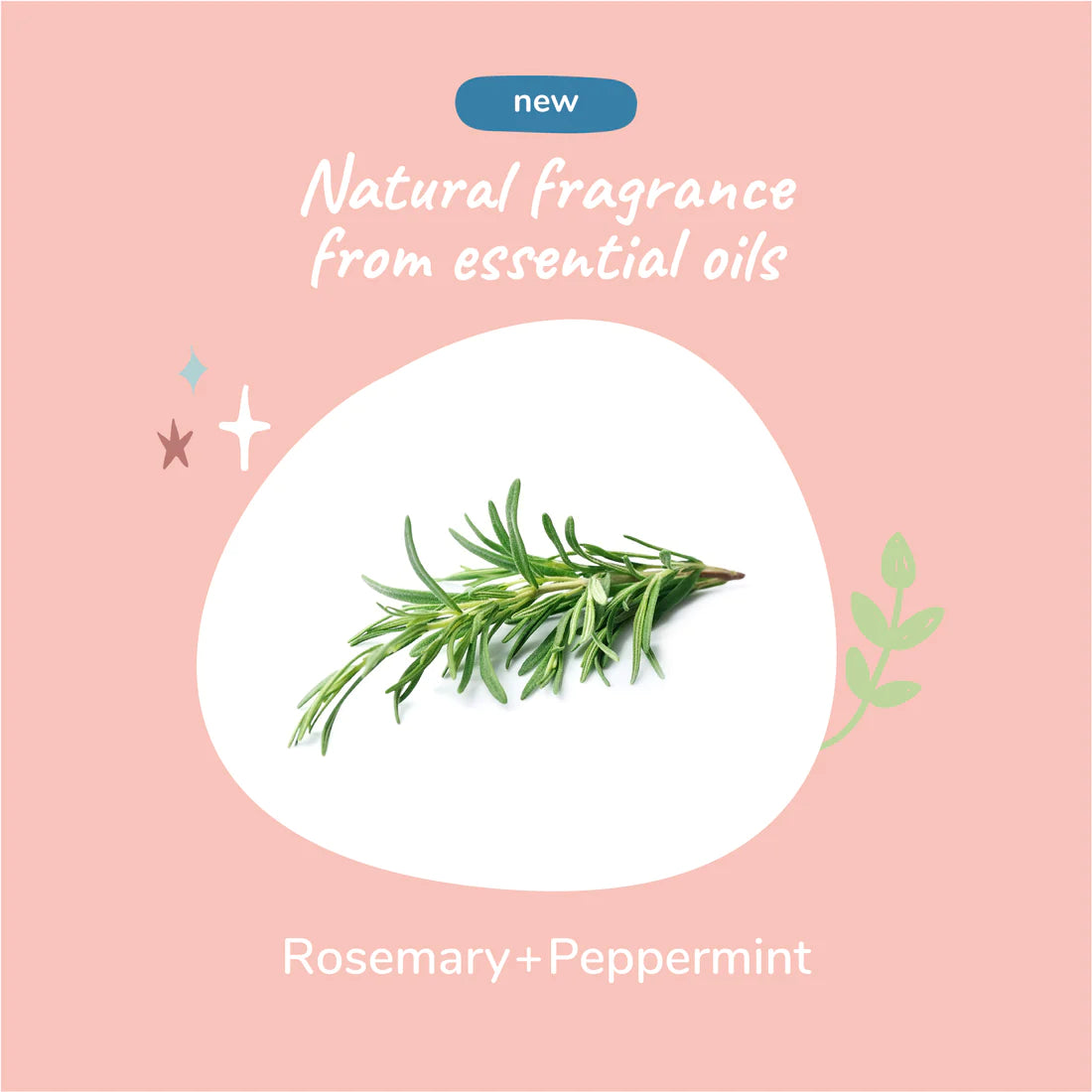 Itchy Pet Shampoo (Rosemary)