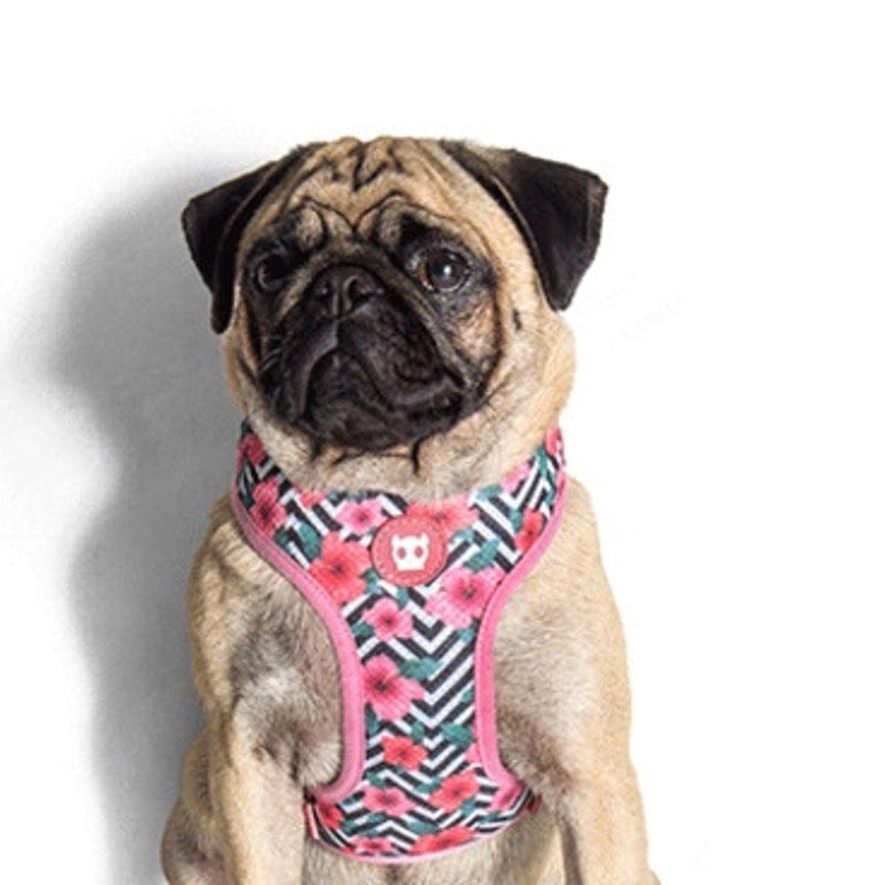 Mahalo | Air Mesh Harness