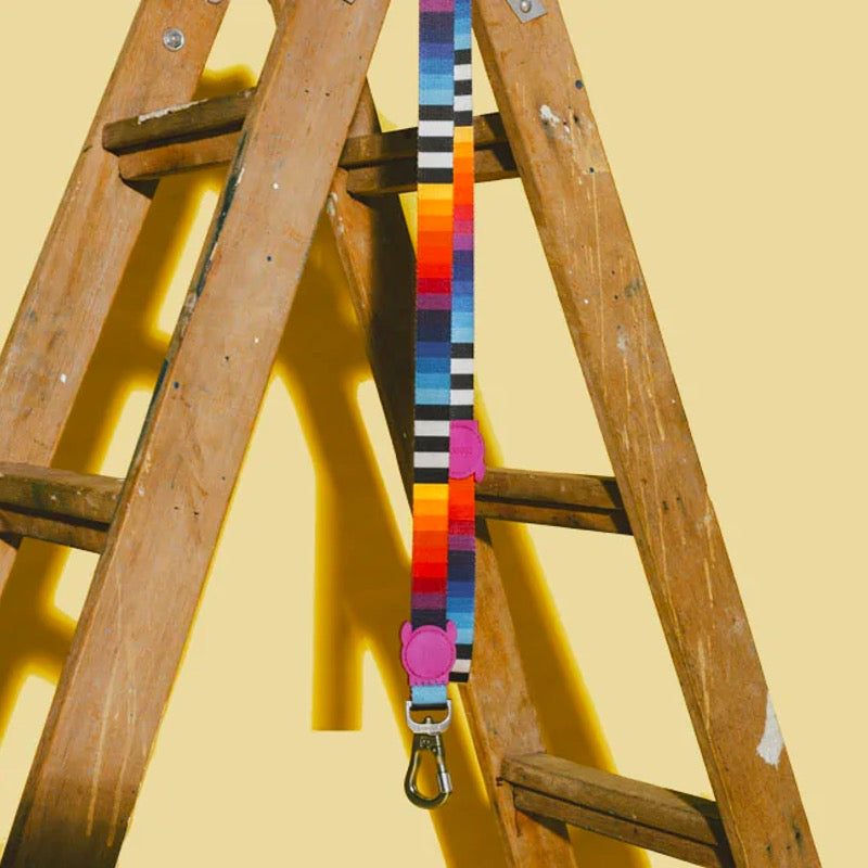 Prisma | Leash