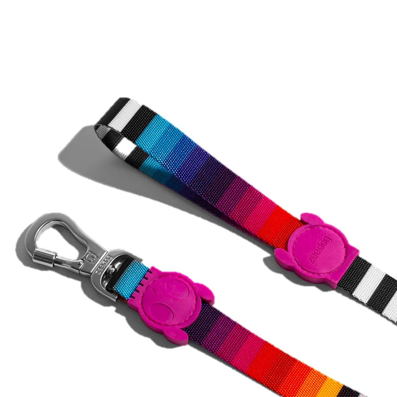 Prisma | Leash