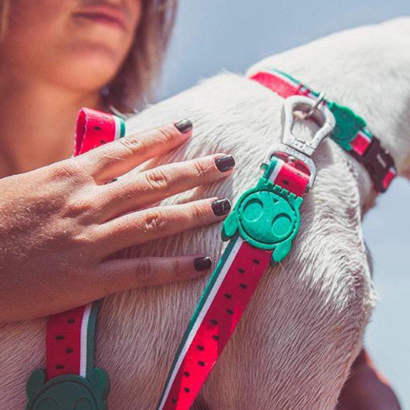Lola | Leash