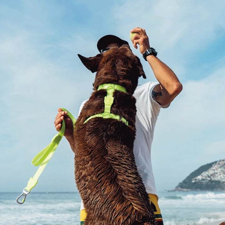 Neopro Lime | H - Harness