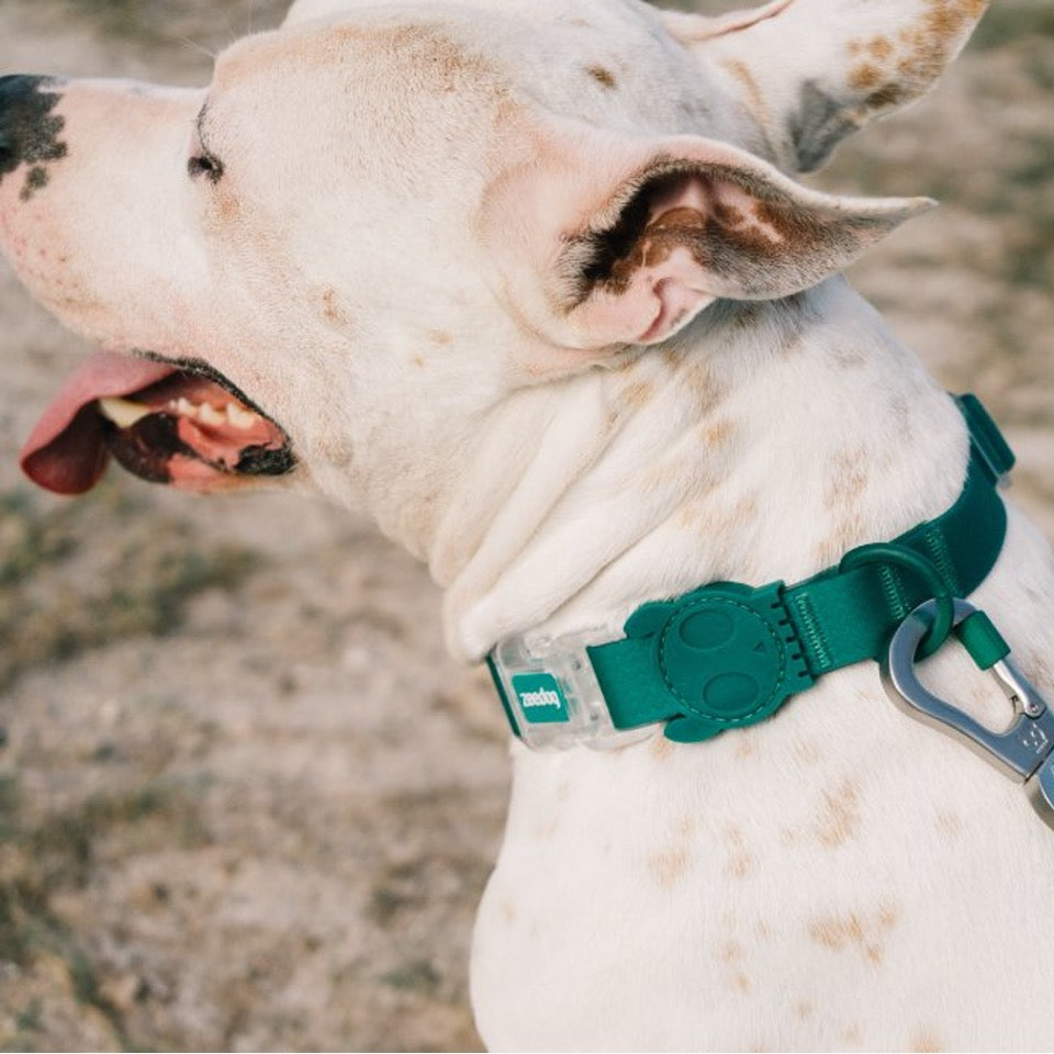 Neopro Amazonia | Dog Collar