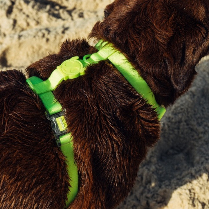 Neopro Lime | H - Harness