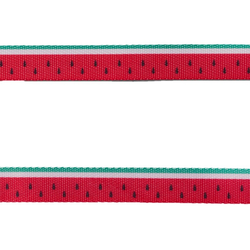 Lola | Leash