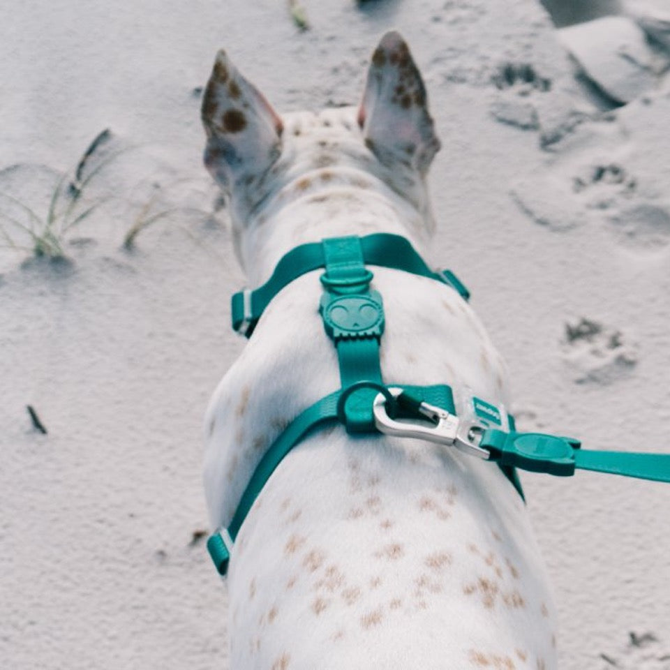 Neopro Amazonia | H - Harness