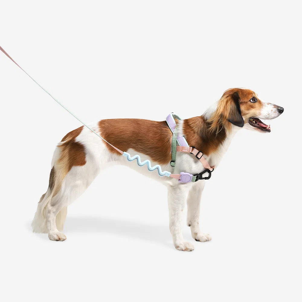 Peach | Softer Walk Harness