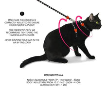 Load image into Gallery viewer, Moss | Cat Harness with Leash

