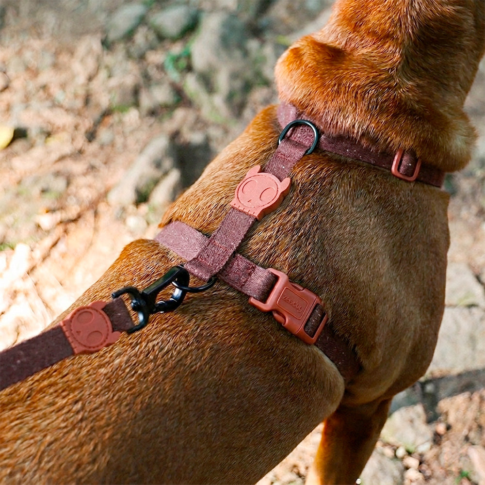 Cocoa Naturals Leash